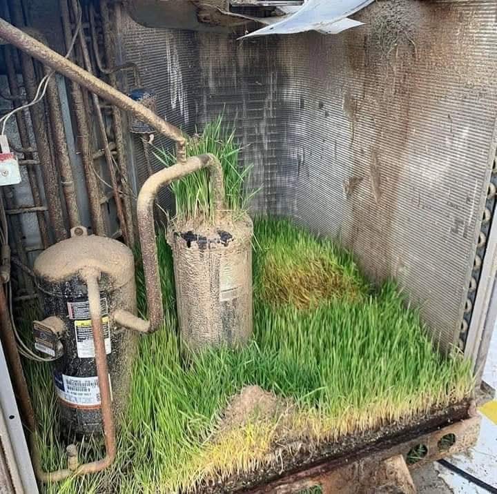 Commercial Equipment Service